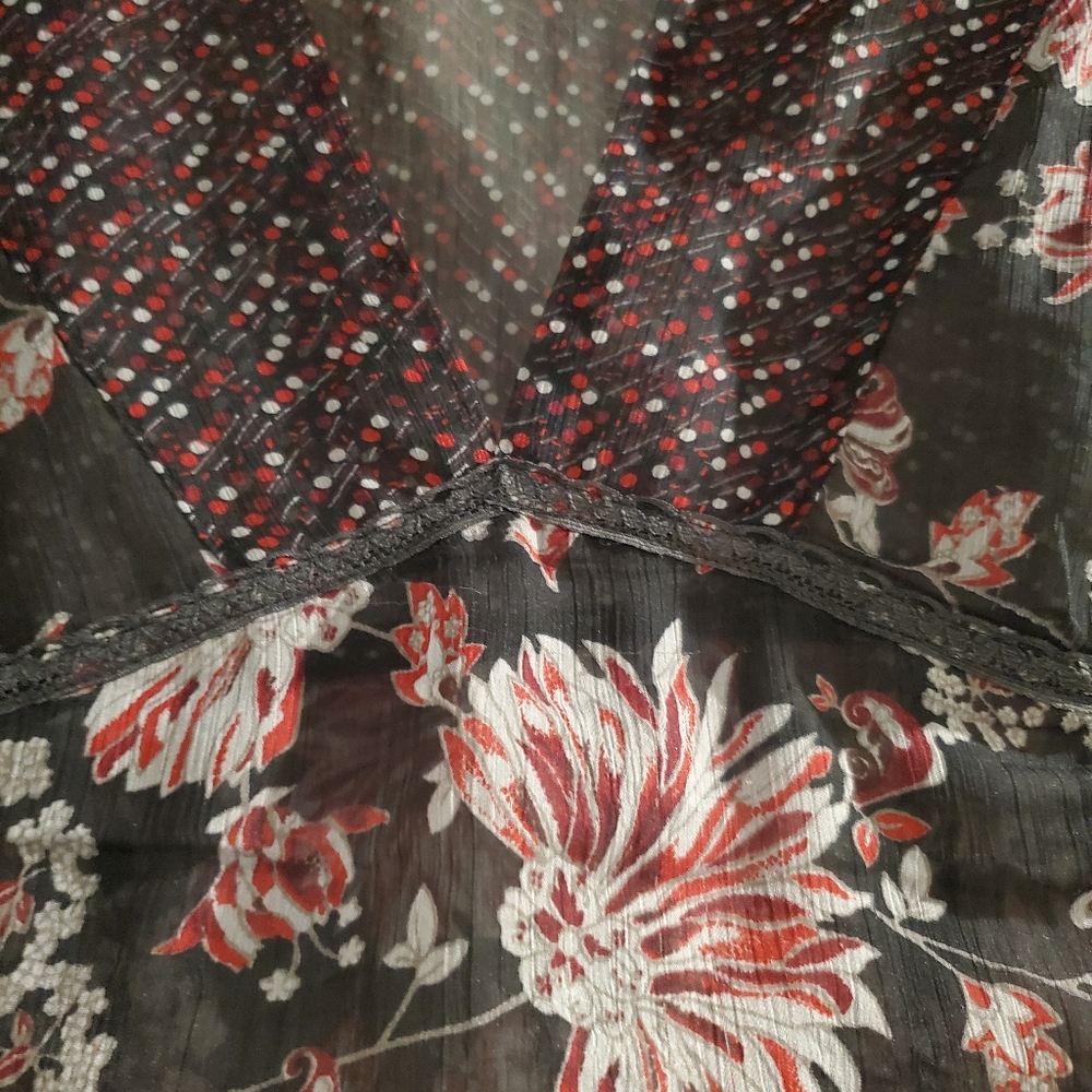 Sheer Blouse - image 2